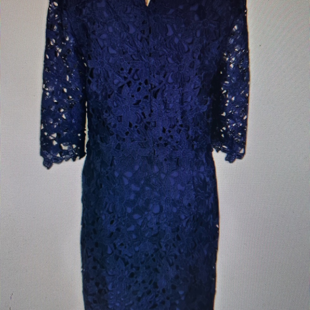 Cynthia Steffe Midnight Blue Lace Dress - Picture 3 of 6